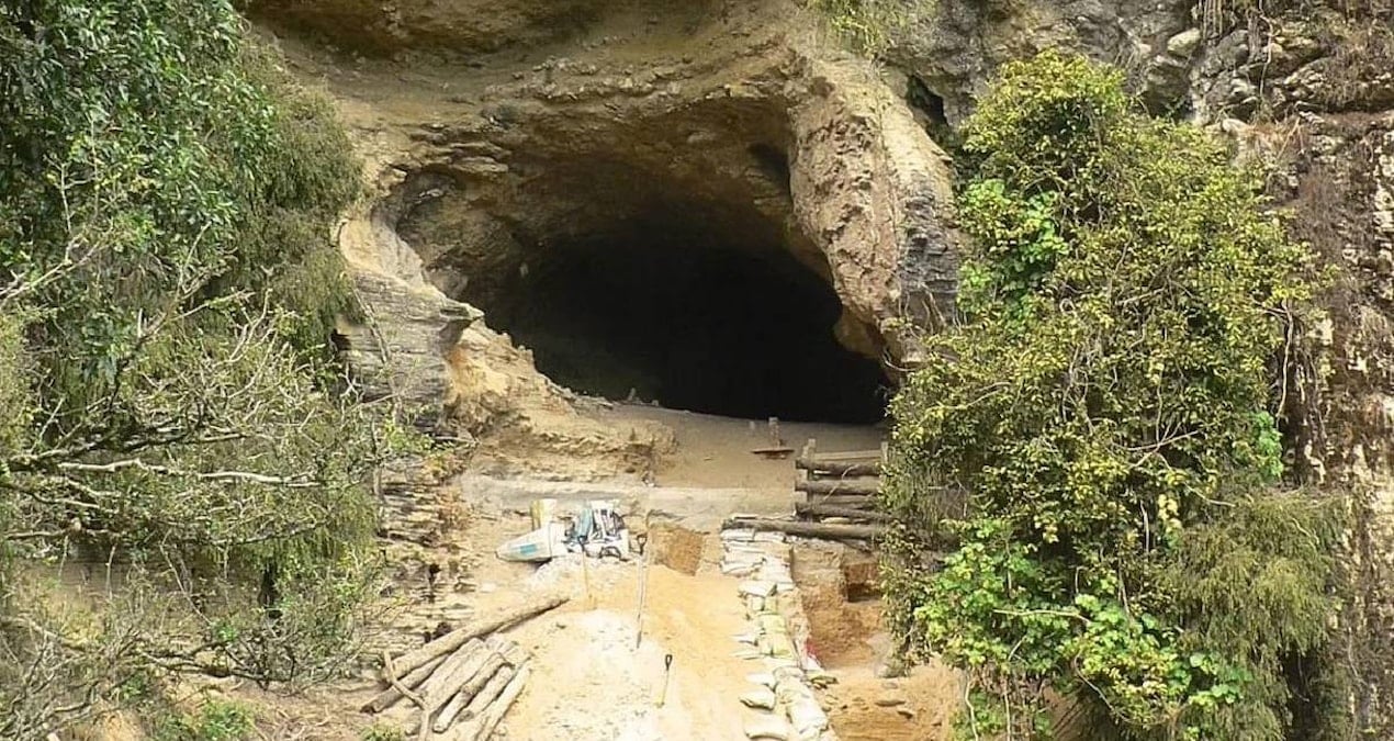 Ormanda Köpeğinin Peşinden Giden Gençler, Tarihin En Eski Sanat Galerisini Keşfetti: Mağara Girişi Kapatıldı